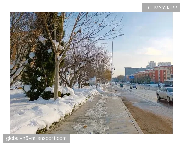雪战的能见度_ 白球在白雪中消失