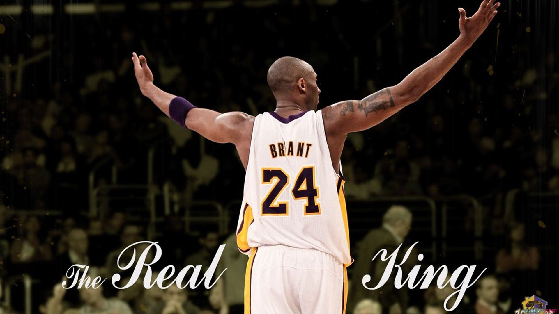 MILAN SPORTS中国站-澳网男单：澳洲猛将再次登顶，精彩不断！，澳网男单2021赛程